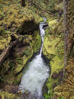 Hager Canyon-20240519000708 pic.jpg