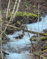 Wieberg Creek-20250331172154 pic.jpg