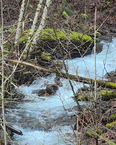 Wieberg Creek-20250331172154 pic.jpg