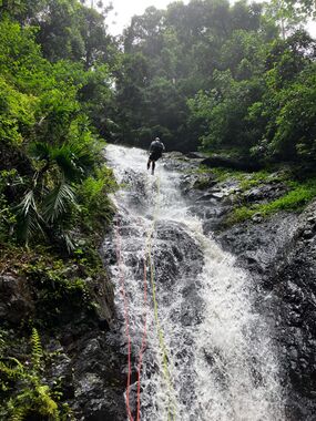 Cabbage Tree Canyon Banner.jpg