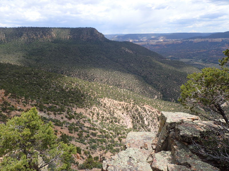 File:Chavez Canyon pic2.jpg