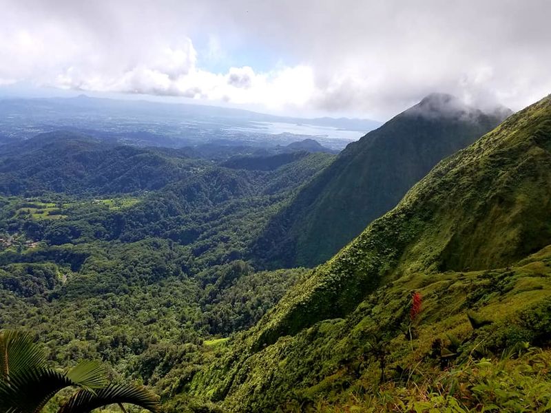 File:Exbrayat Banner.jpg