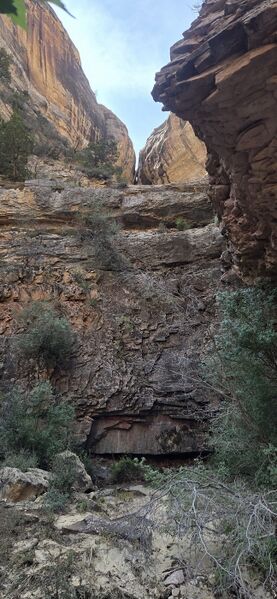 File:Showdown Canyon (Dinosaur) pic015.jpg