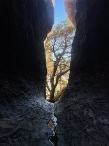 FILE2-20211213042521.jpg
