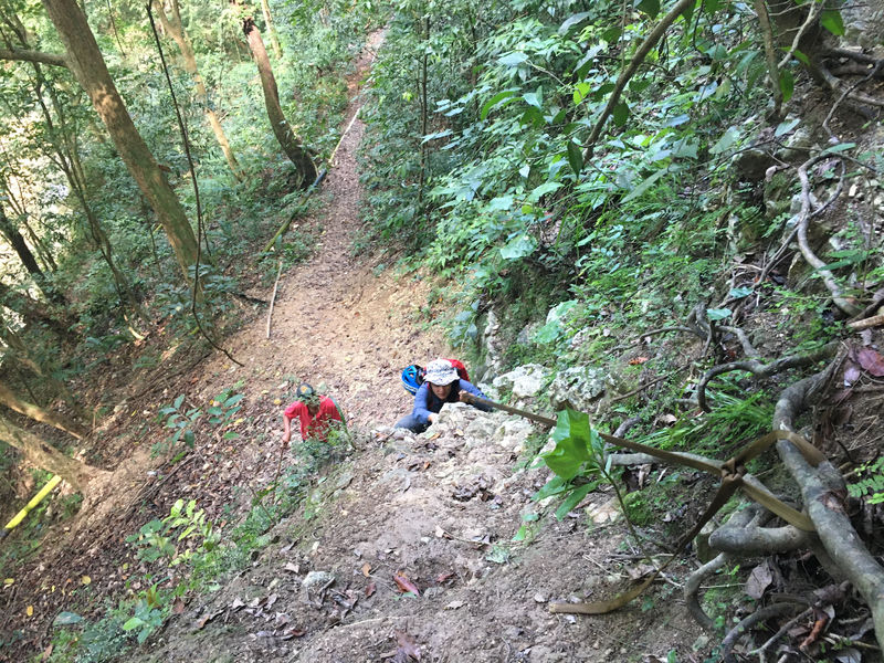 File:La Rejoya Canyon upclimb.jpg