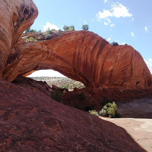 File:Phipps Wash Banner.jpg