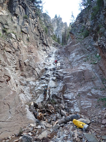 File:Sheepdog Creek pic9.jpg