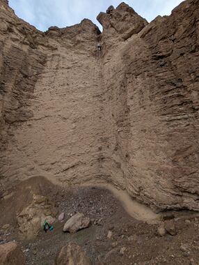 Golden Goose Banner.jpg