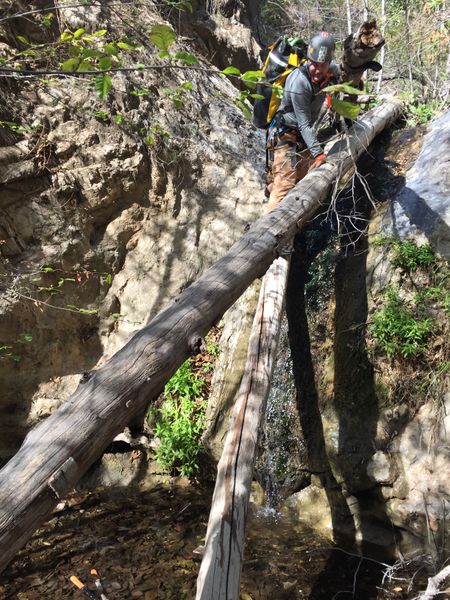 File:Laurel Springs Canyon img8029.jpg