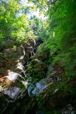 Race Brook Falls Banner.jpg
