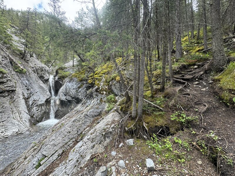 File:Heart Creek Canyon uppersectiontrail.jpg