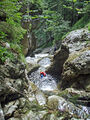 Thumbnail for version as of 08:21, 23 August 2024