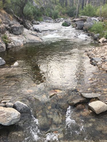 Jawbone Creek (Lower)-20170727003009 pic.jpg