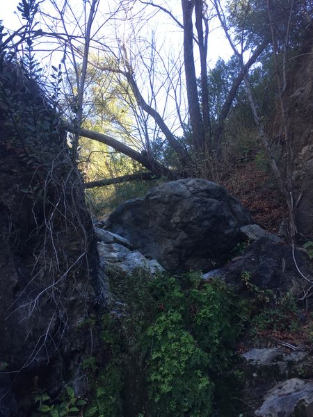 File:Laurel Springs Canyon img7993.jpg