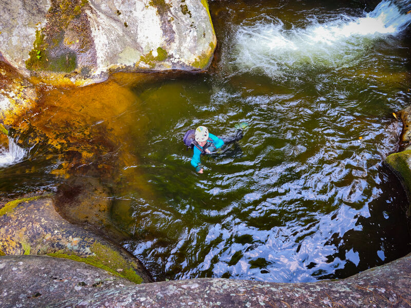 File:Steels Creek teacups1.jpg