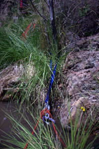 Tree anchor dislodged on R5 of Peppermint Creek pics3.jpg
